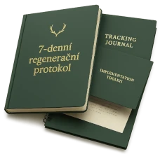 7-day regeneration protocol