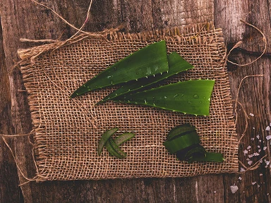 Fresh aloe vera leaves on a jute mat, a natural component of Roanga ATU known for its soothing effects on the digestive system and ability to support healthy gut microflora