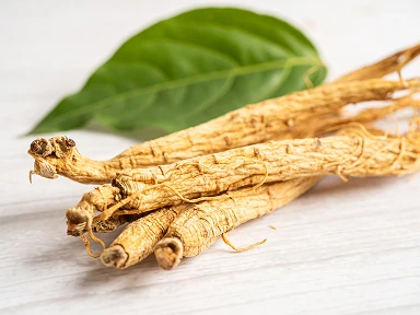 Panax ginseng roots with a green leaf, a powerful adaptogen in Roanga ATU increasing the body's resistance to stress and supporting physical and mental performance