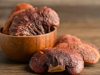 Reishi mushroom (Ganoderma lucidum) in a wooden bowl, an adaptogenic component of Roanga ATU with immunomodulatory effects and the ability to support harmony of the nervous and immune systems