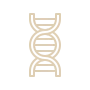 Stem Cell Support