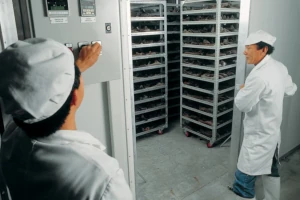 Professional staff monitoring production process in deer velvet processing facility, ensuring highest standards of quality and safety