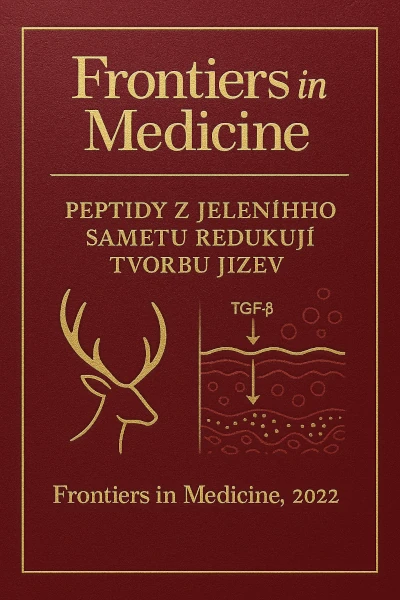Frontiers in Medicine, 2022